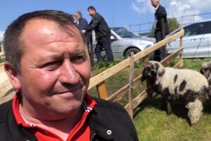 Veselo na vašaru: Cazinjanin za šest minuta prodao 11 ovaca