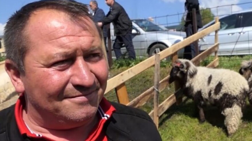 Veselo na vašaru: Cazinjanin za šest minuta prodao 11 ovaca