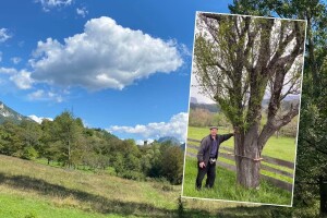 Misteriozna šljiva Eseda Omanovića izazvala regionalnu polemiku