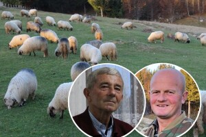 Gdje je stao Smail, nastavio Hazir - vlašićka pramenka i sir nadaleko poznati