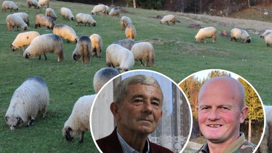 Gdje je stao Smail, nastavio Hazir - vlašićka pramenka i sir nadaleko poznati