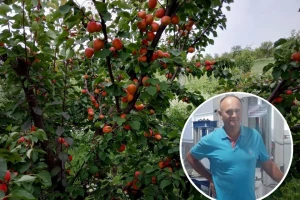 Malo pravo, malo poljoprivreda – moguće je!