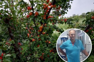 Malo pravo, malo poljoprivreda – moguće je!
