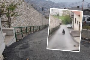 Medvjed u Sarajevu: Pogledajte jurnjavu Bakije sokakom