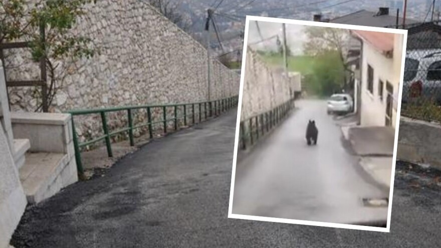 Medvjed u Sarajevu: Pogledajte jurnjavu Bakije sokakom