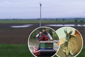 Strah od rasta Save: Polja poplavljena širom Krajine, borba za životinje