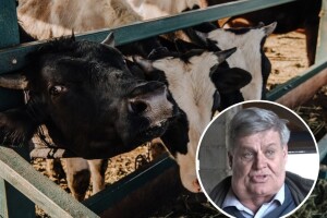 Pomoć farmeru još nije stigla: Ni slamku nisam dobio, ne spavam noćima
