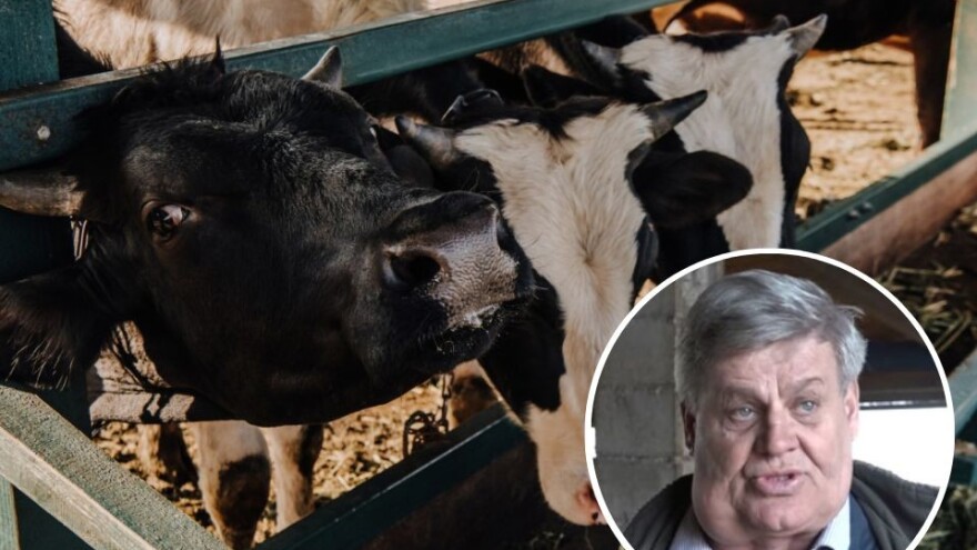 Pomoć farmeru još nije stigla: Ni slamku nisam dobio, ne spavam noćima