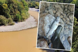 Bitka za Neretvu: Stanje je katastrofalno, ribe iskaču iz vode