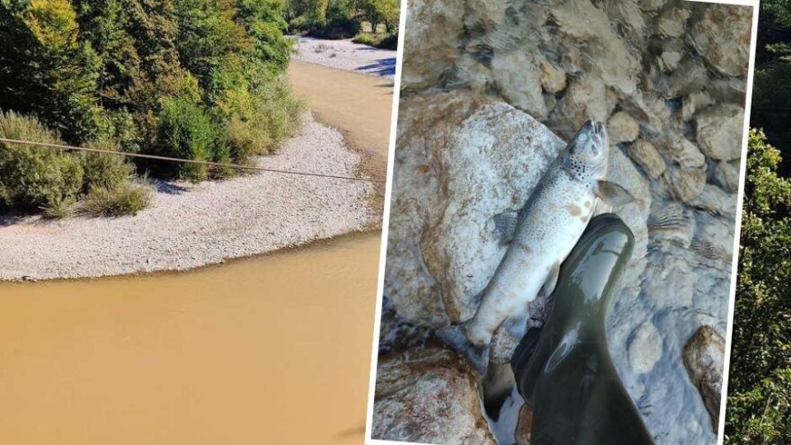 Bitka za Neretvu: Stanje je katastrofalno, ribe iskaču iz vode