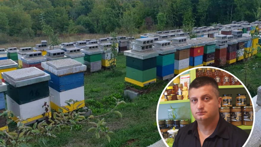 Mart je najkritičniji mjesec za pčele - šta se mora uraditi?