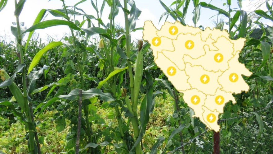 Uslovi vlažnosti su povoljni za sve poljoprivredne kulture i usjeve