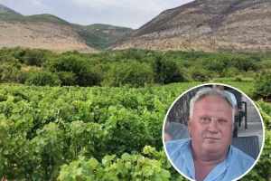 Ranko Petijević spasio svoj vinograd od požara - godina je fenomenalna