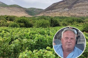 Ranko Petijević spasio svoj vinograd od požara - godina je fenomenalna