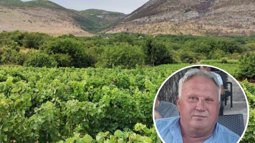 Ranko Petijević spasio svoj vinograd od požara - godina je fenomenalna