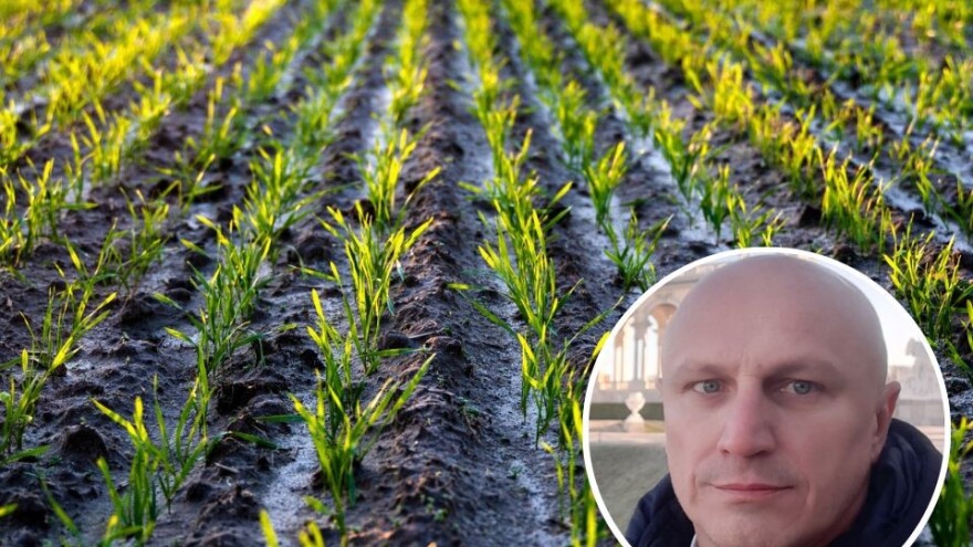 Keran: Hibridi za intenzivnu proizvodnju, stara sjemena za turiste