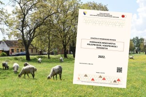 Revizori prečešljali finansije: Prevarantima ponovo dali poticaje?
