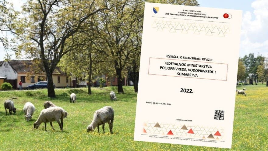 Revizori prečešljali finansije: Prevarantima ponovo dali poticaje?