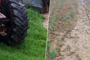 Voda nosi usjeve, kiša ne staje: "Prepao se insan, a kamoli hajvan"