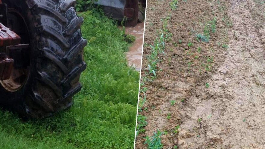 Voda nosi usjeve, kiša ne staje: "Prepao se insan, a kamoli hajvan"