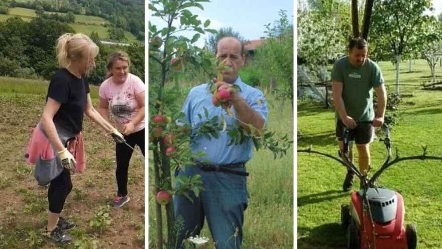 Kad odlože olovke, prihvate se motike: Nije nas sramota sela