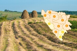 Pokupite sijena - sutra vrhunac vrućine, pa prolom oblaka