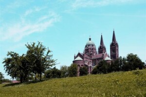 Neočekivana kolovoška berba u nadbiskupijskim vinogradima