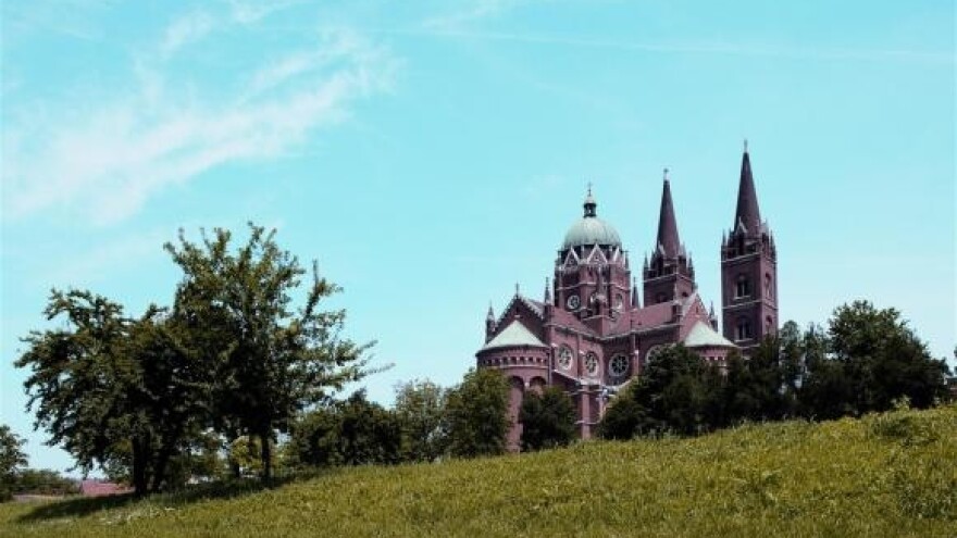 Neočekivana kolovoška berba u nadbiskupijskim vinogradima