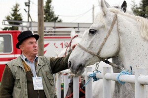 Zlatne ruke promoviraju suvremeni život na selu i malo poduzetništvo