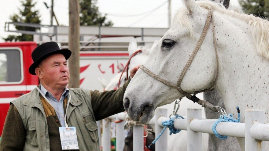 Zlatne ruke promoviraju suvremeni život na selu i malo poduzetništvo