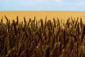 Seljaci i mali dioničari za odgodu stečaja