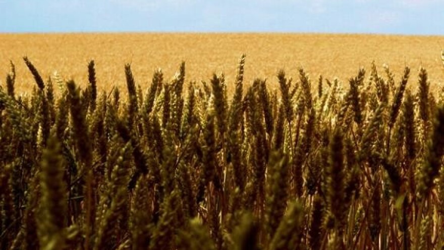 Seljaci i mali dioničari za odgodu stečaja