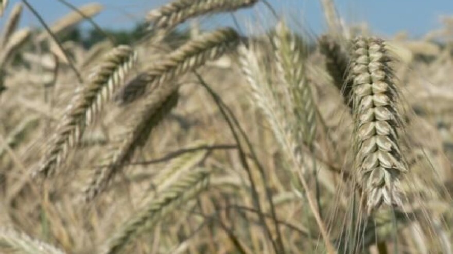 Otvoren stečaj nad Đakovštinom d.d.