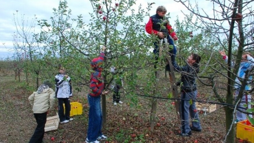 S razvojem agroturizma dolaze i opasnosti!