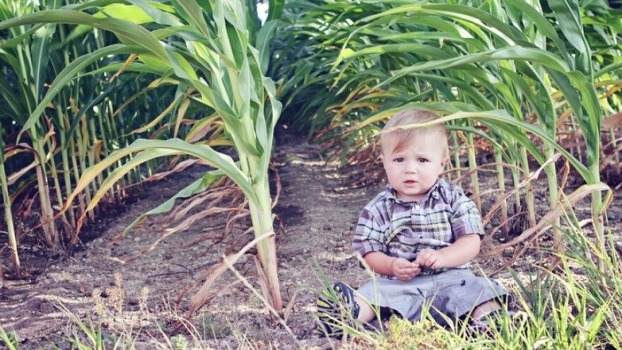 U dječjoj hrani smije biti tragova pesticida!