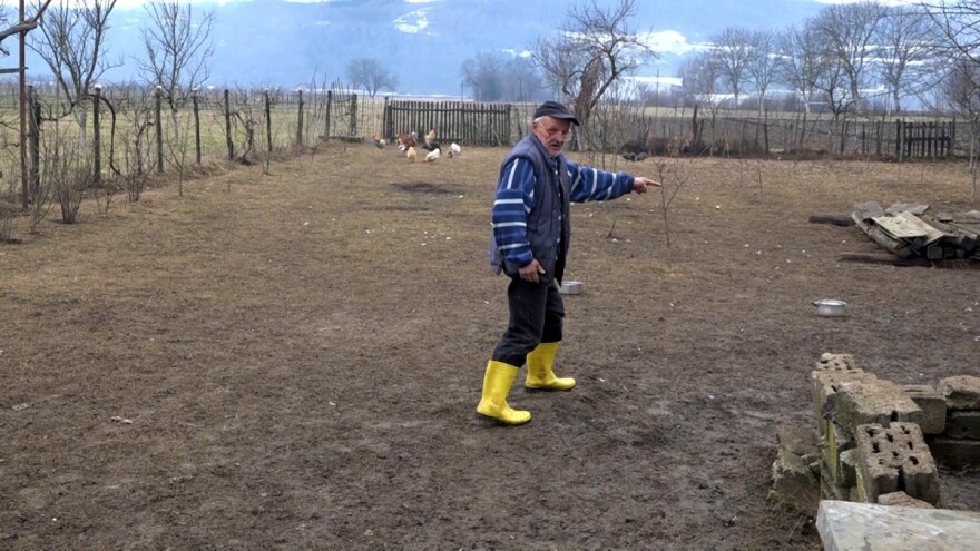 Čopor pasa lutalica rastrgao perad na imanju Đemila Katkića