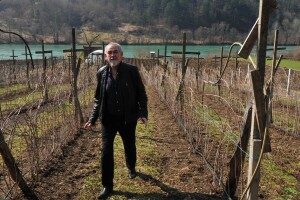 Za malinare u ovoj sezoni obezbjeđena sredstva za zaštitu i pomoć agronoma