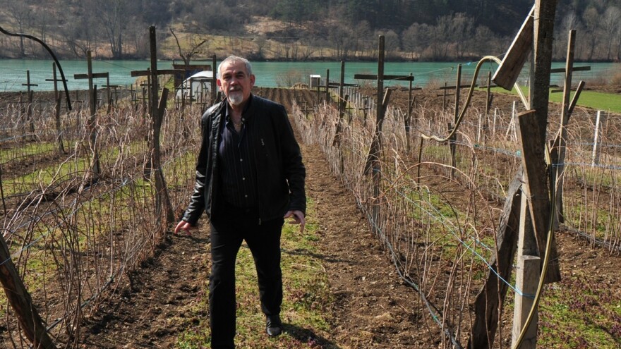 Za malinare u ovoj sezoni obezbjeđena sredstva za zaštitu i pomoć agronoma