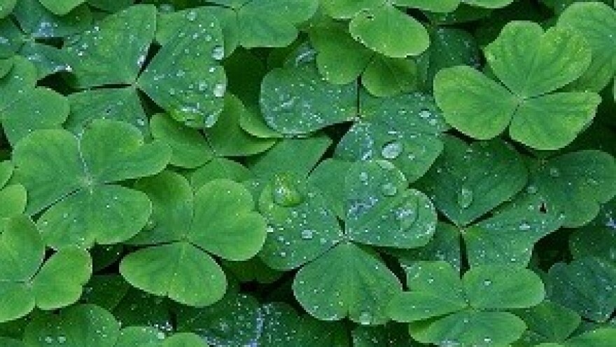 Iskorištavanje biljnih otpadaka u svrhu gnojidbe