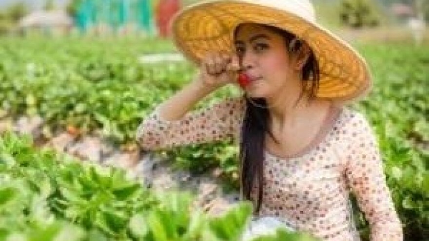 Horoskop - Djevica (23.08. - 23.09.)