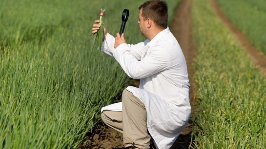 Djevice: birokrati prerušeni u poljoprivrednike!