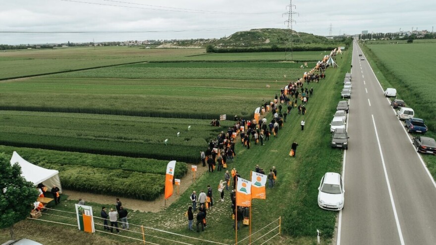 Suncokret pobjednik nad vremenskim promjenama, kreće i digitalizacija usjeva
