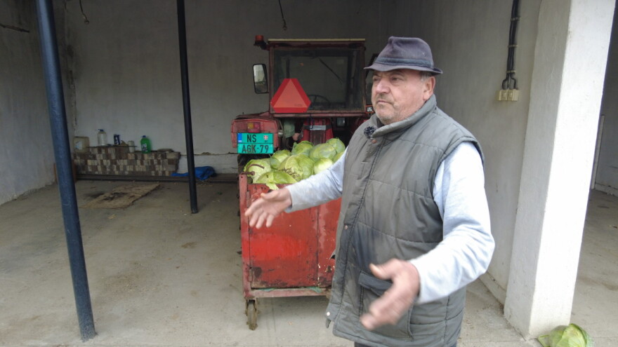 Gligorić iz Futoga: Vide 30, 50 dinara za kilogram kupusa i dođu kod mene i plate 70