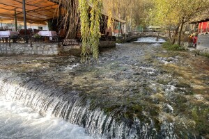 Ćevapima se hvale, a o endemskim biljkama s razlogom šute?