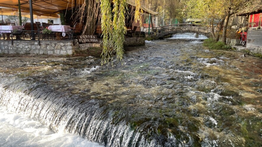 Ćevapima se hvale, a o endemskim biljkama s razlogom šute?