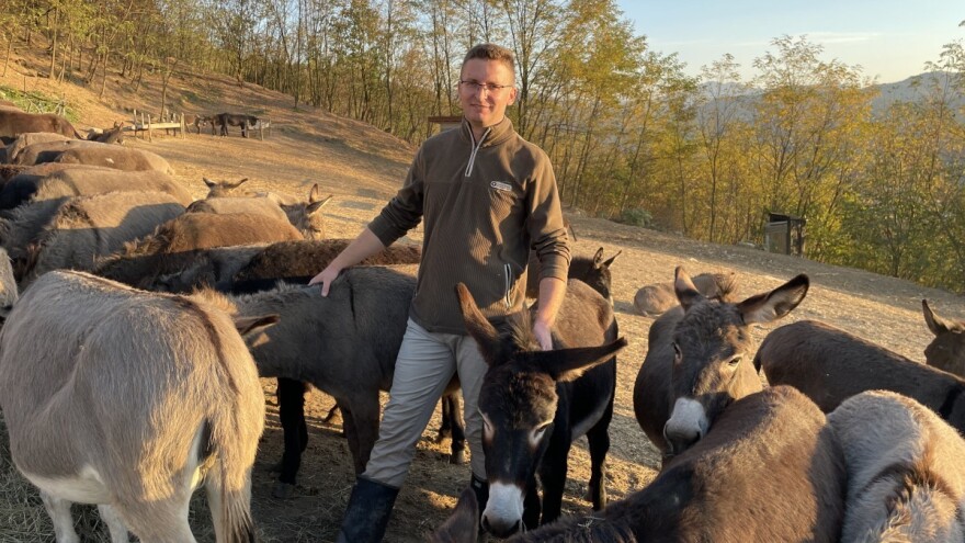 S koze na magarca - na farmi grade i apartmane za goste