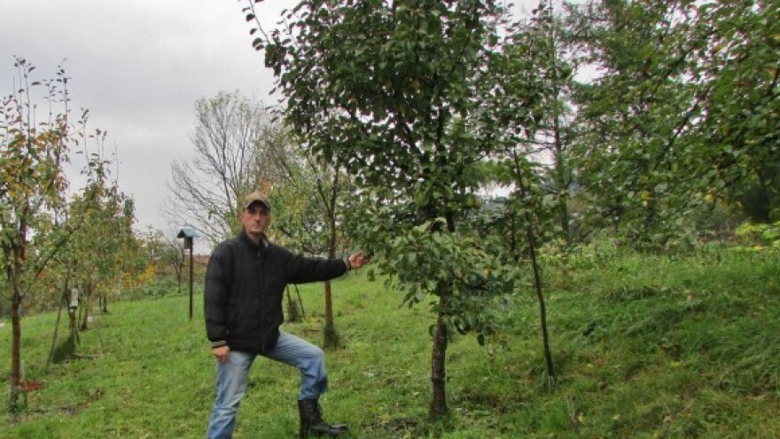 Korištenje radiestezije u voćarstvu