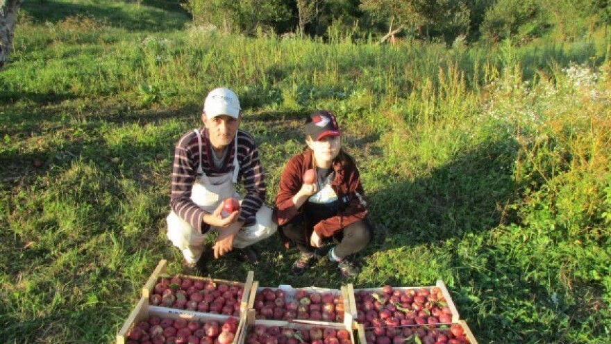 Administracija usporava isplatu potpora voćarima