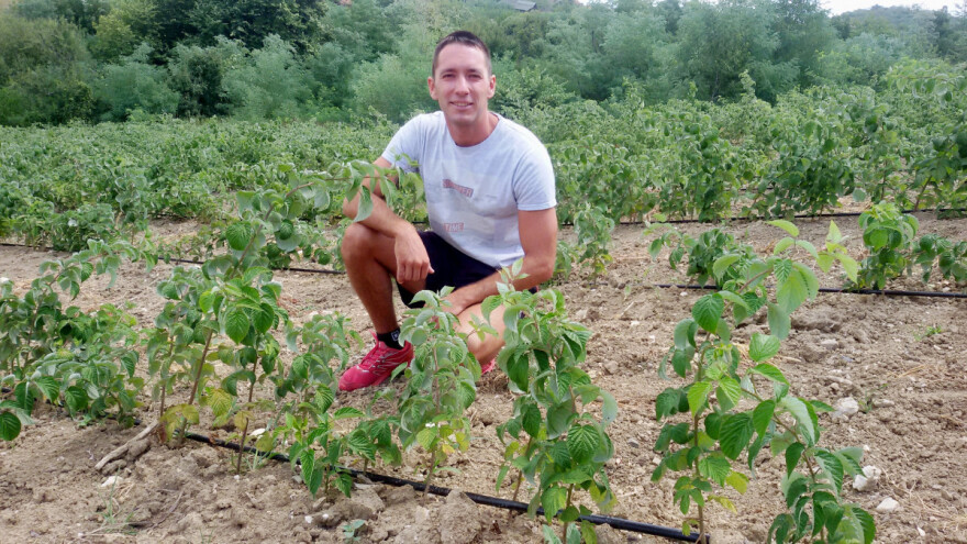 Kom malinaru cena nije problem?