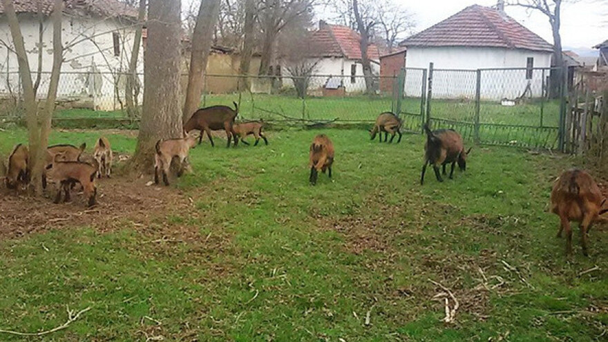 "Đorđevića avlija" - spoj tradicije i prirode
